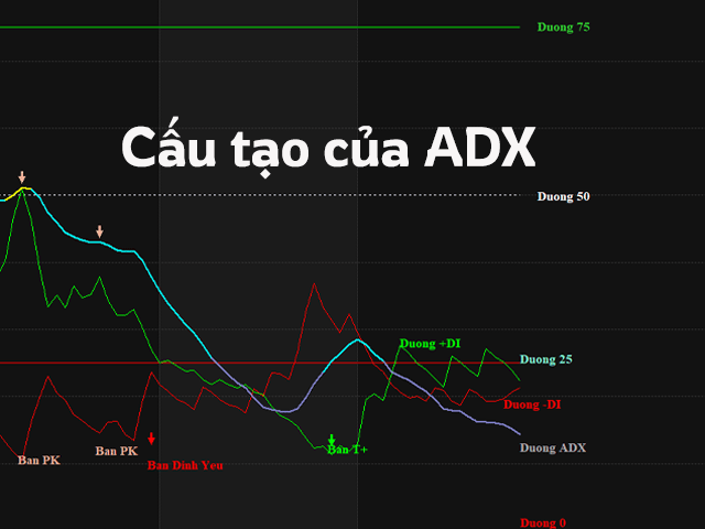 Cấu tạo của chỉ báo ADX trong Amibroker