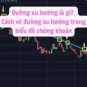 Đường xu hướng là gì Cách vẽ đường trendline trên biểu đồ chứng khoán, cổ phiếu