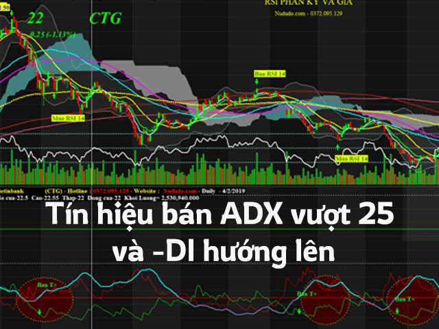 Tín hiệu bạn ADX khi vượt đường 25 và -DI hướng lên