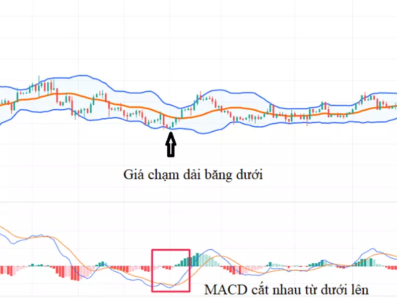 Chỉ báo MACD có mặt trên hầu hết các phần mềm phân tích kỹ thuật