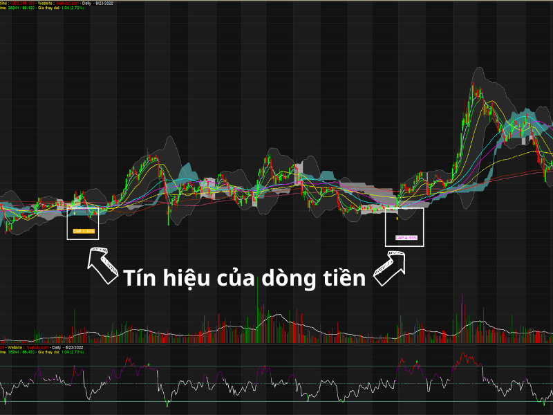 Xác định Dòng tiền trong chứng khoán cũng không quá khó