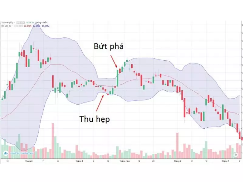 ý nghĩa quan trọng của Bollinger Bands là sự thu hẹp và điểm đột phá