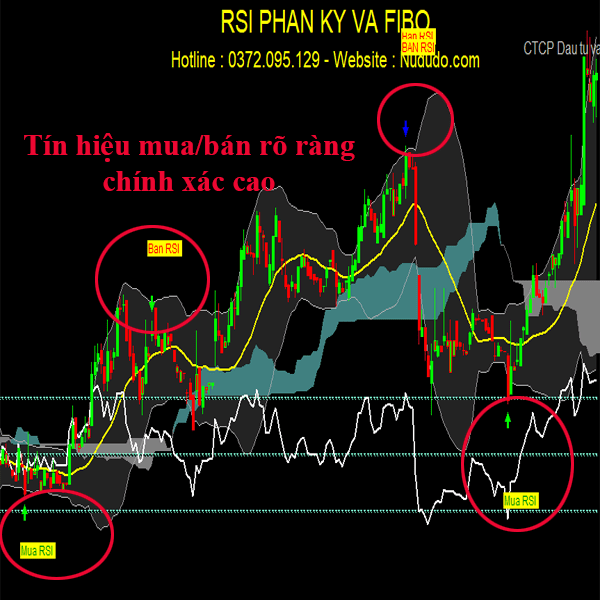 Phần mềm chứng khoán MMS - Ảnh 2