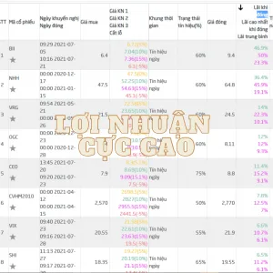 Sử dụng phần mềm phân tích chứng khoán Dstock và Dchart thu về lợi nhuận cực cao