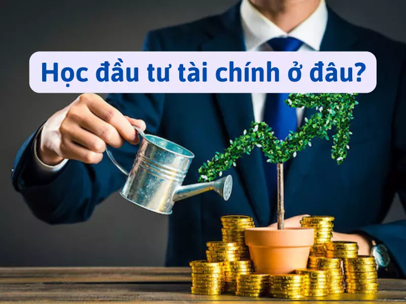 Học đầu tư tài chính ở đâu tốt hiện nay