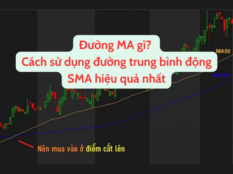 Đường MA là gì? Cách sử dụng đường trung bình động SMA hiệu quả nhất