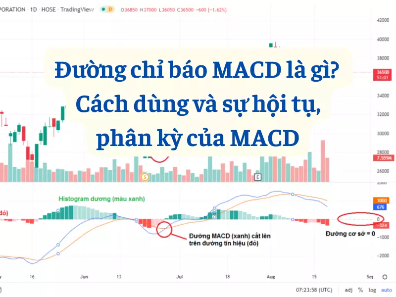 Đường chỉ báo MACD là gì? Cách dùng và sự hội tụ, phân kỳ của MACD