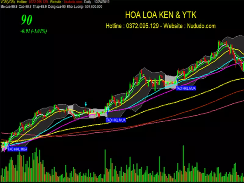 Ví dụ thực tế Bộ lọc cổ phiếu Break out và tích lũy (Hoa loa kèn)