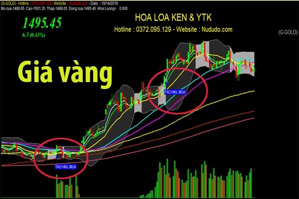 Siêu thị chứng khoán Nududo