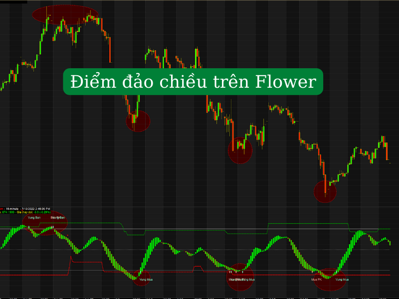 Code Amibroker phái sinh Flower