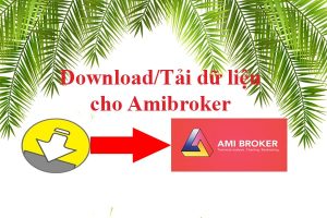 Dowload Tải dữ liệu cho Amibroker
