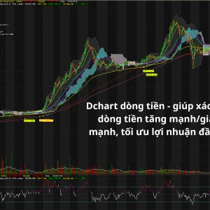 Dòng tiền tăng giảm mạnh trên phần mềm phân tích chứng khoán Dchart