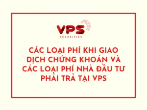 Các loại phí khi giao dịch chứng khoán và các loại phí nhà đầu tư phải trả tại VPS