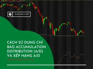 Chỉ báo Accumulation Distribution Xếp hạng AD tìm Canslim