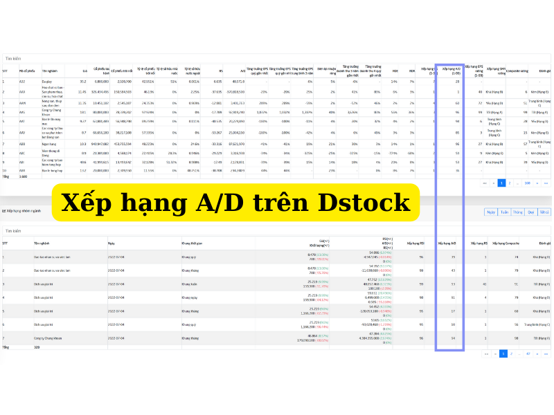 Xếp hạng A/D theo IBD Rating trên dstock