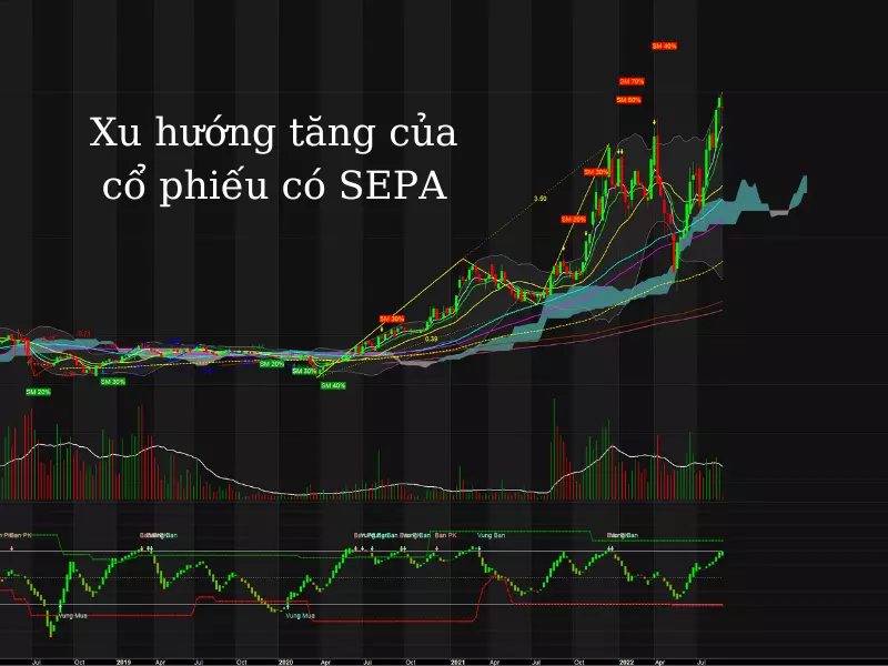 Xu Hướng tăng của cổ phiếu đạt tiêu chí phương pháp SEPA