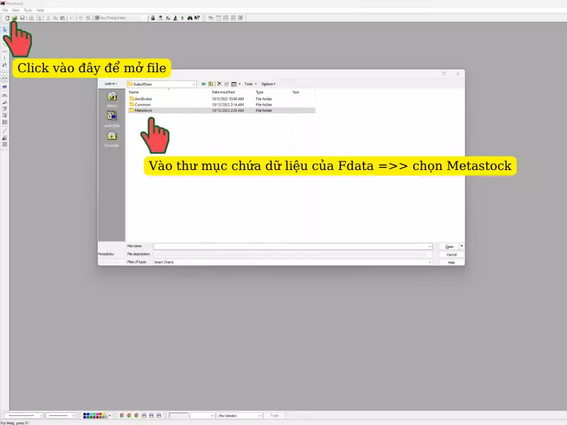 Thiết lập dữ liệu chứng khoán Fdata cho Metastock