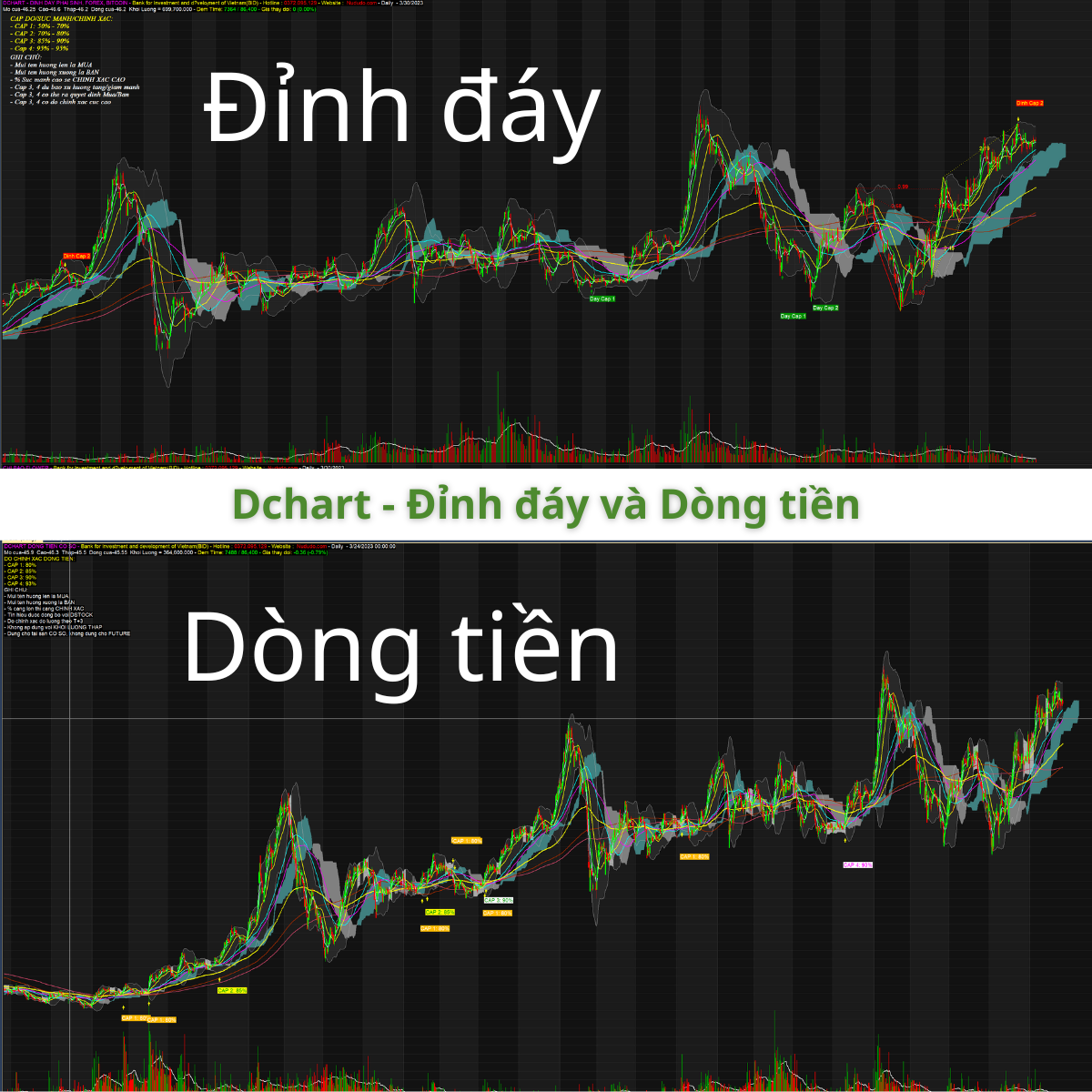 Cách sử dụng Dchart trong phân tích đầu tư