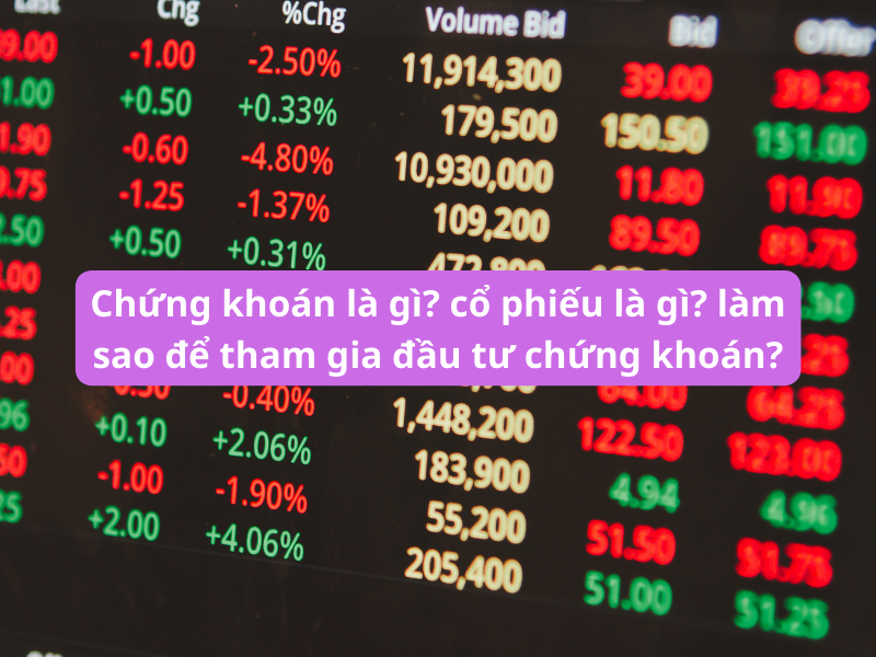 Chứng khoán là gì cổ phiếu là gì cách tham gia chứng khoán