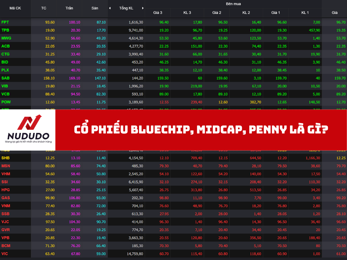 Cổ phiếu Bluechip, MIDCAP, Penny là gì