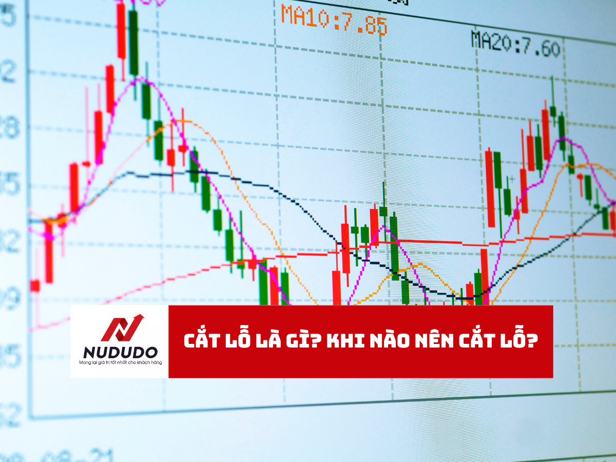 Cắt lỗ là gì Khi nào nên cắt lỗ