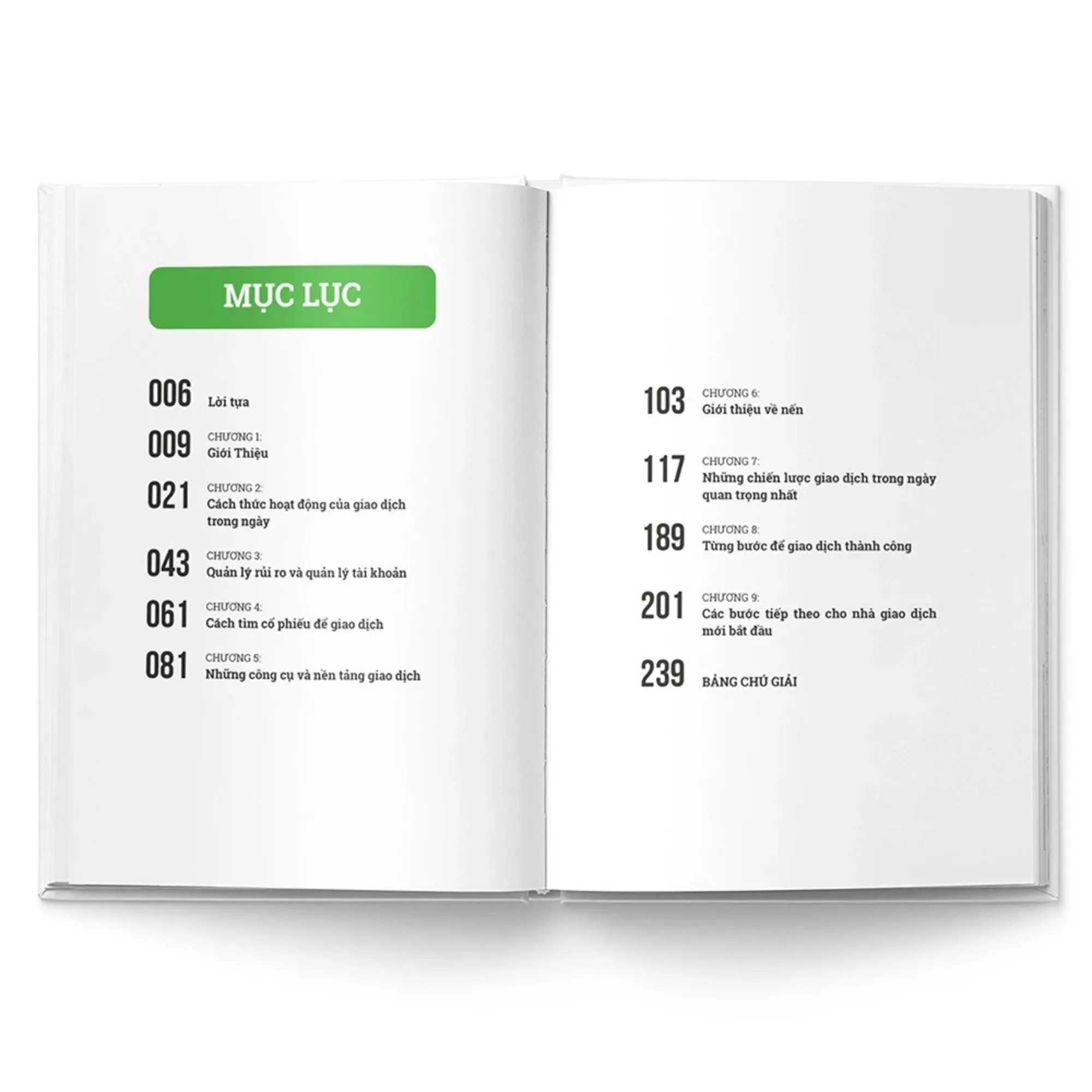 Nội dung Sách Kỹ Thuật Giao Dịch Để Kiếm Tiền Hàng Ngày Trên Thị Trường Chứng Khoán - Day Trade For A Living
